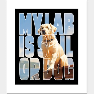 Sailing labrador retriever design Posters and Art